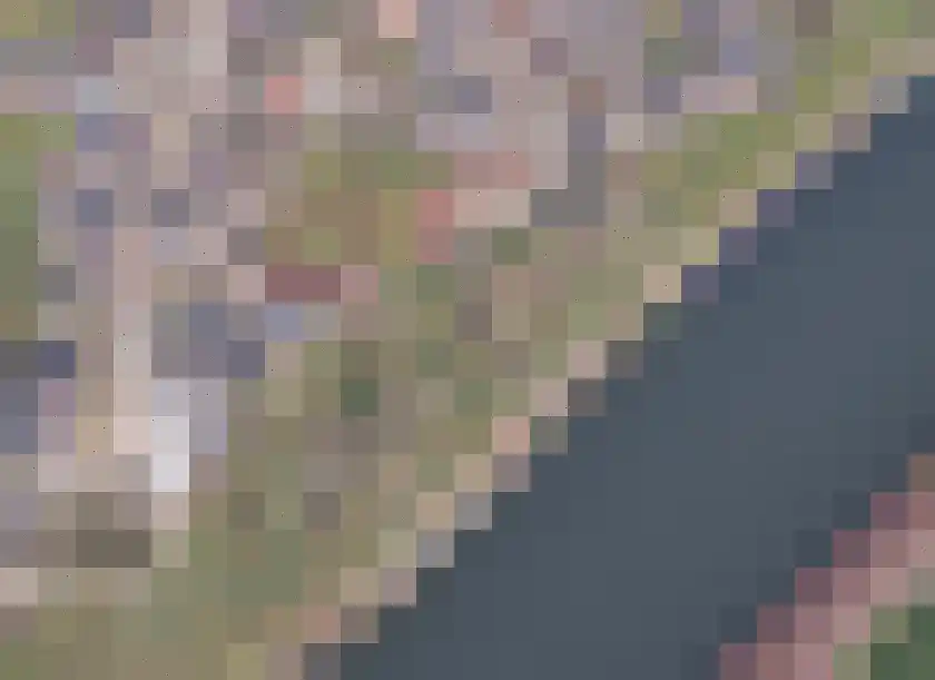 Koevaart Elsloo thumbnail 8