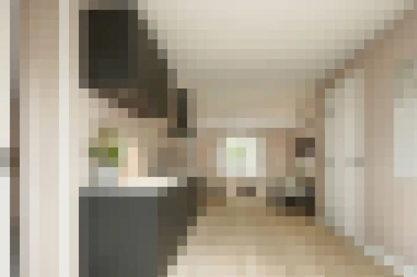 Koevaart Elsloo thumbnail 9