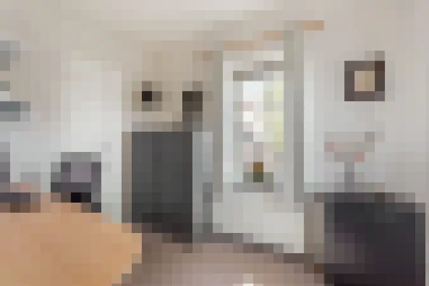 Koeveenweg 2 Nijverdal thumbnail 10