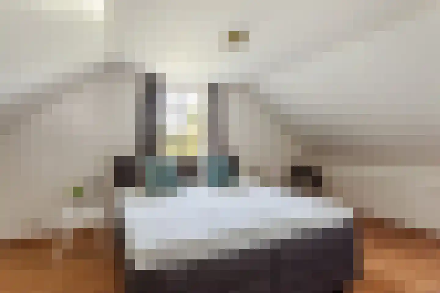 Koeveenweg 2 Nijverdal thumbnail 12