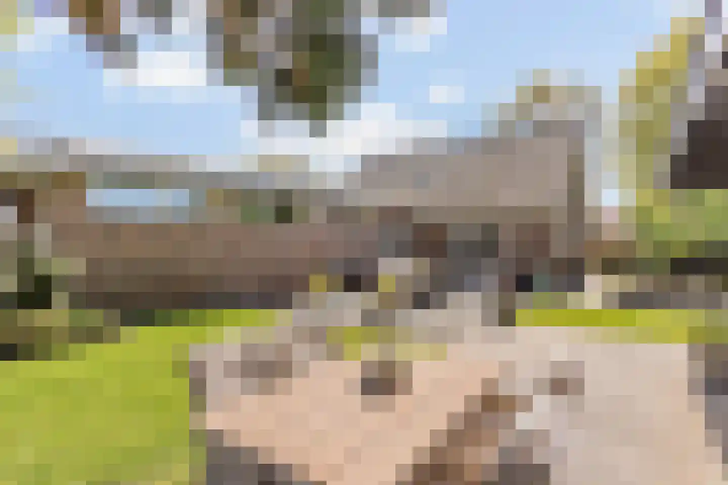Koeveenweg 2 Nijverdal thumbnail 15