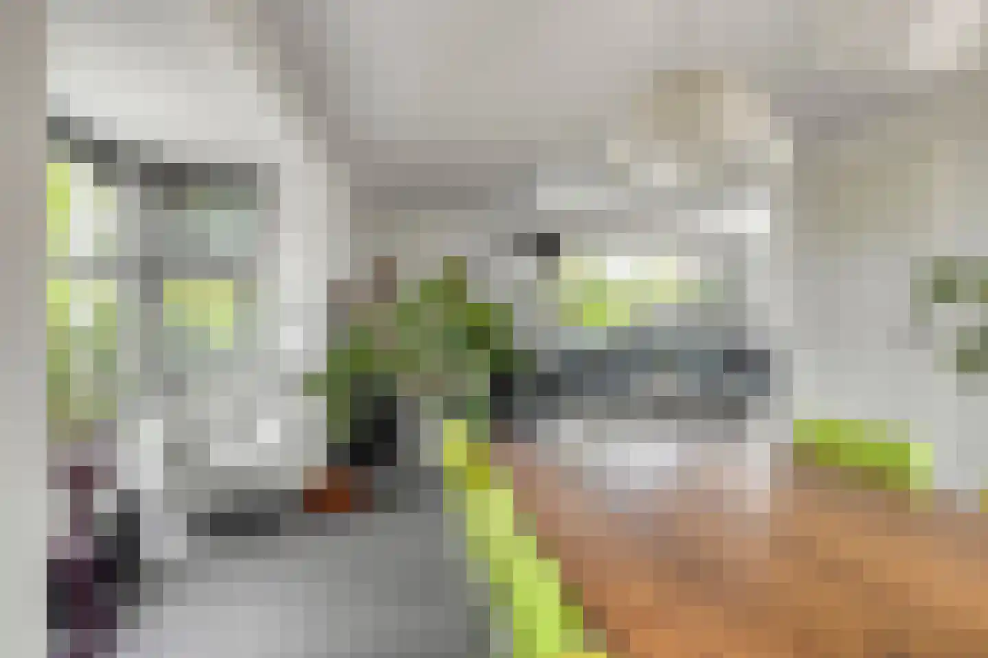 Koevelden 19 Best thumbnail 14