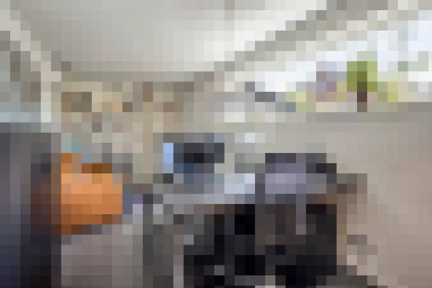 Koevelden 19 Best thumbnail 18