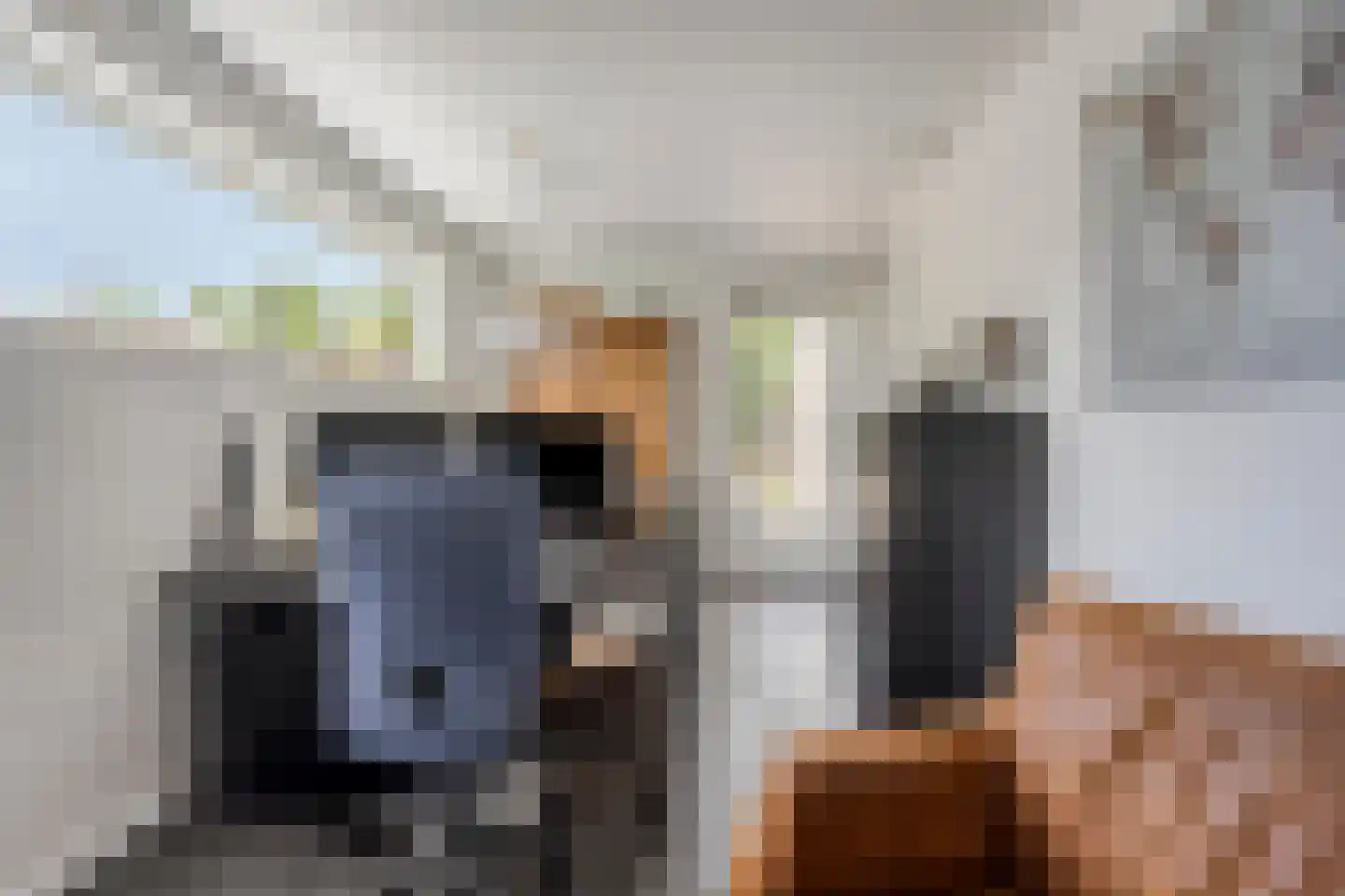 Koevelden 19 Best thumbnail 19