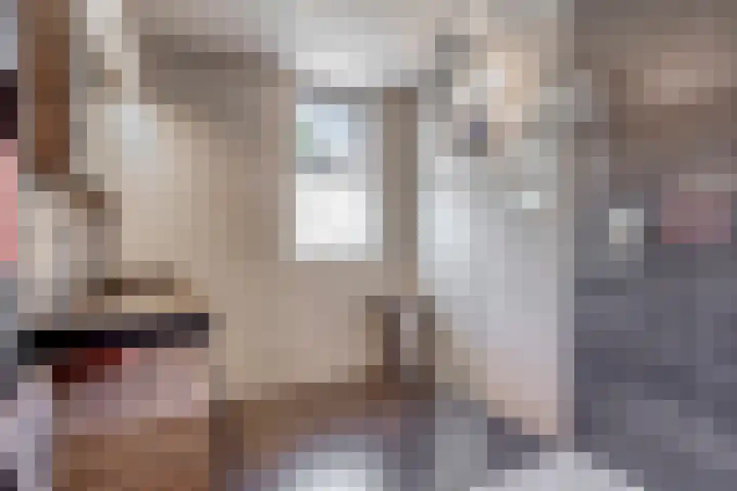 Koevelden 19 Best thumbnail 26