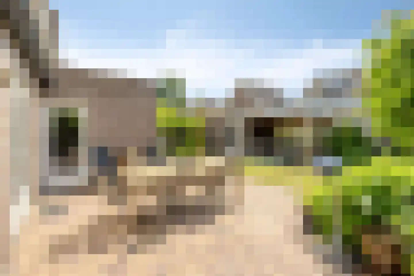 Koevelden 19 Best thumbnail 37