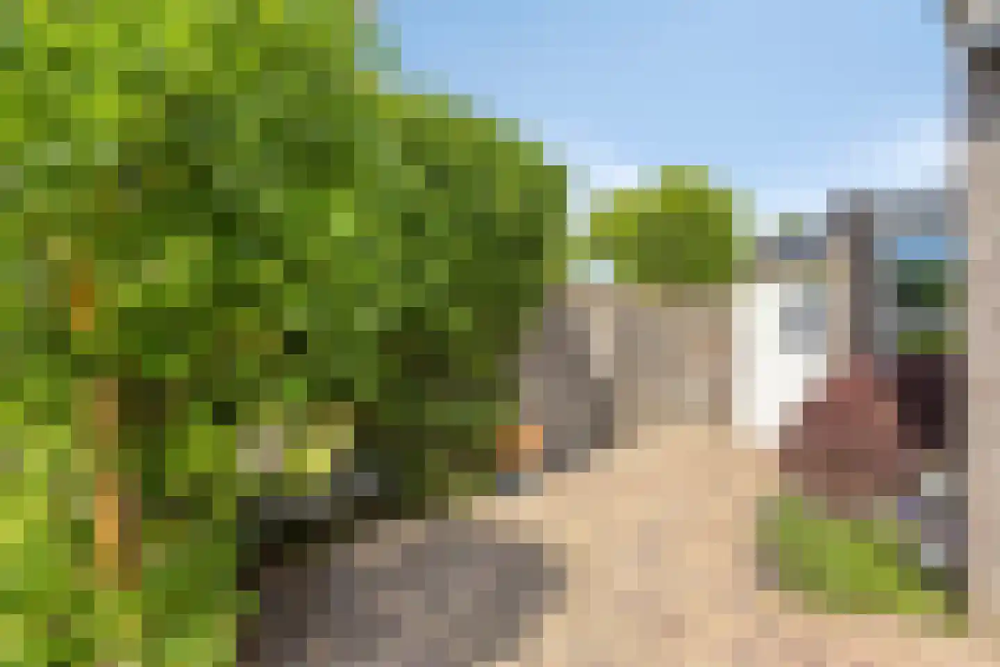 Koevelden 19 Best thumbnail 38