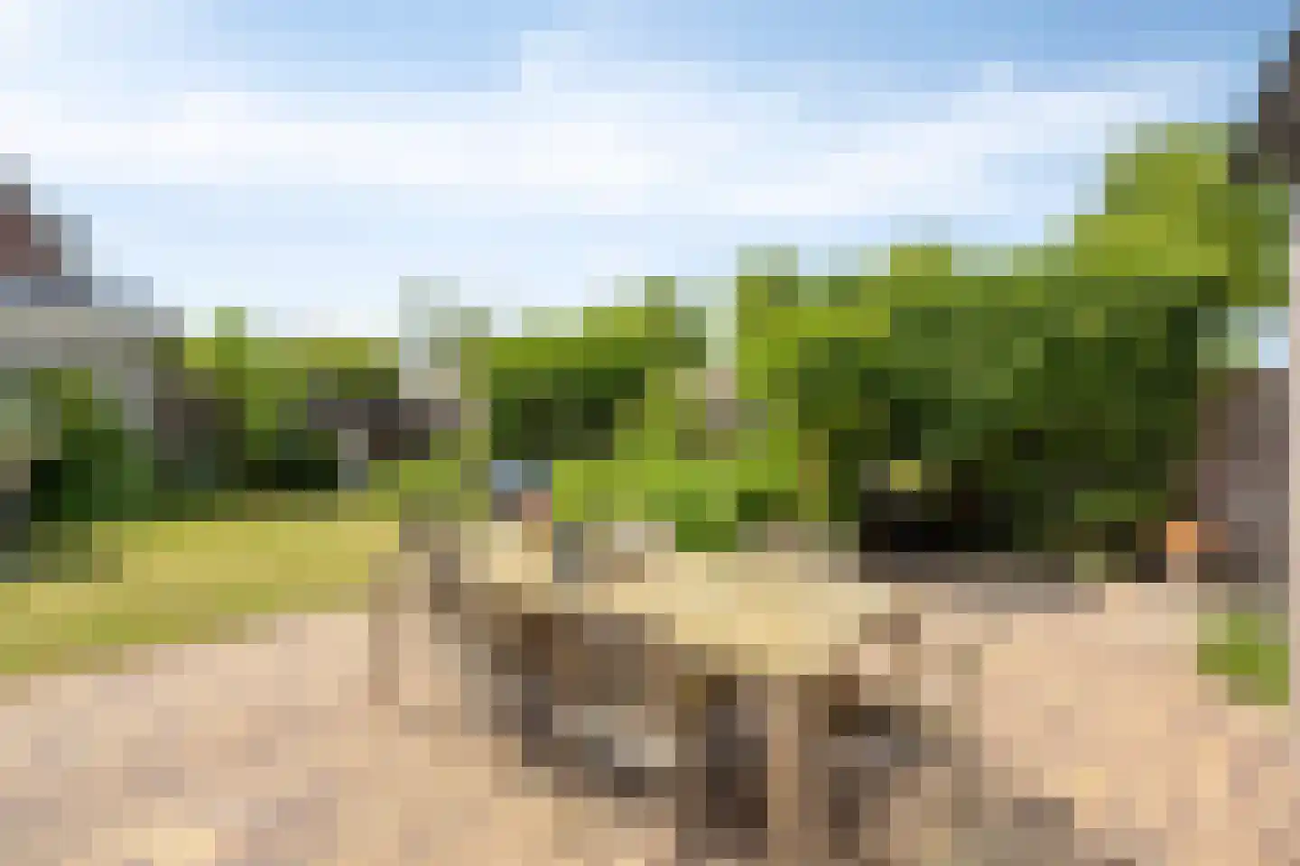 Koevelden 19 Best thumbnail 39