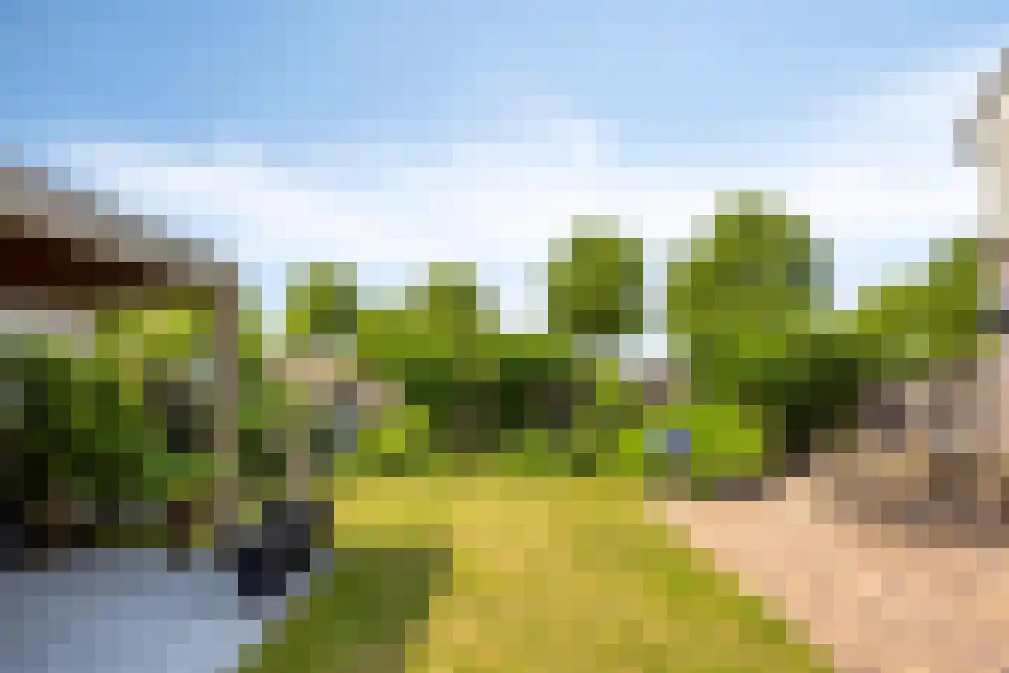 Koevelden 19 Best thumbnail 41