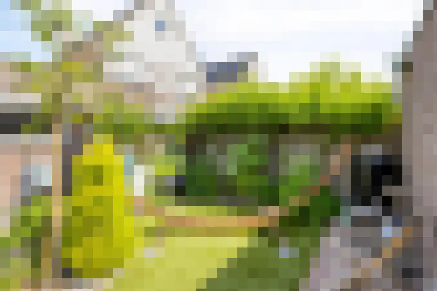 Koevelden 19 Best thumbnail 42