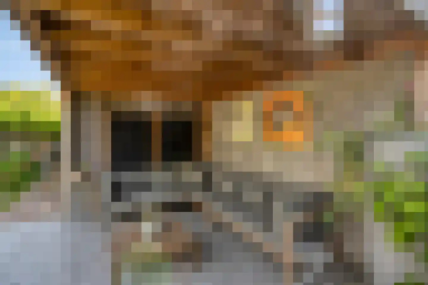 Koevelden 19 Best thumbnail 44