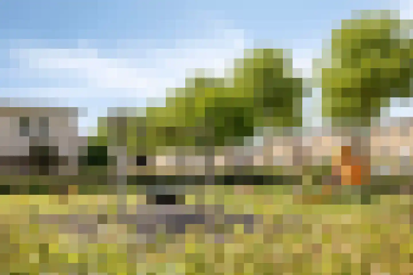 Koevelden 19 Best thumbnail 47