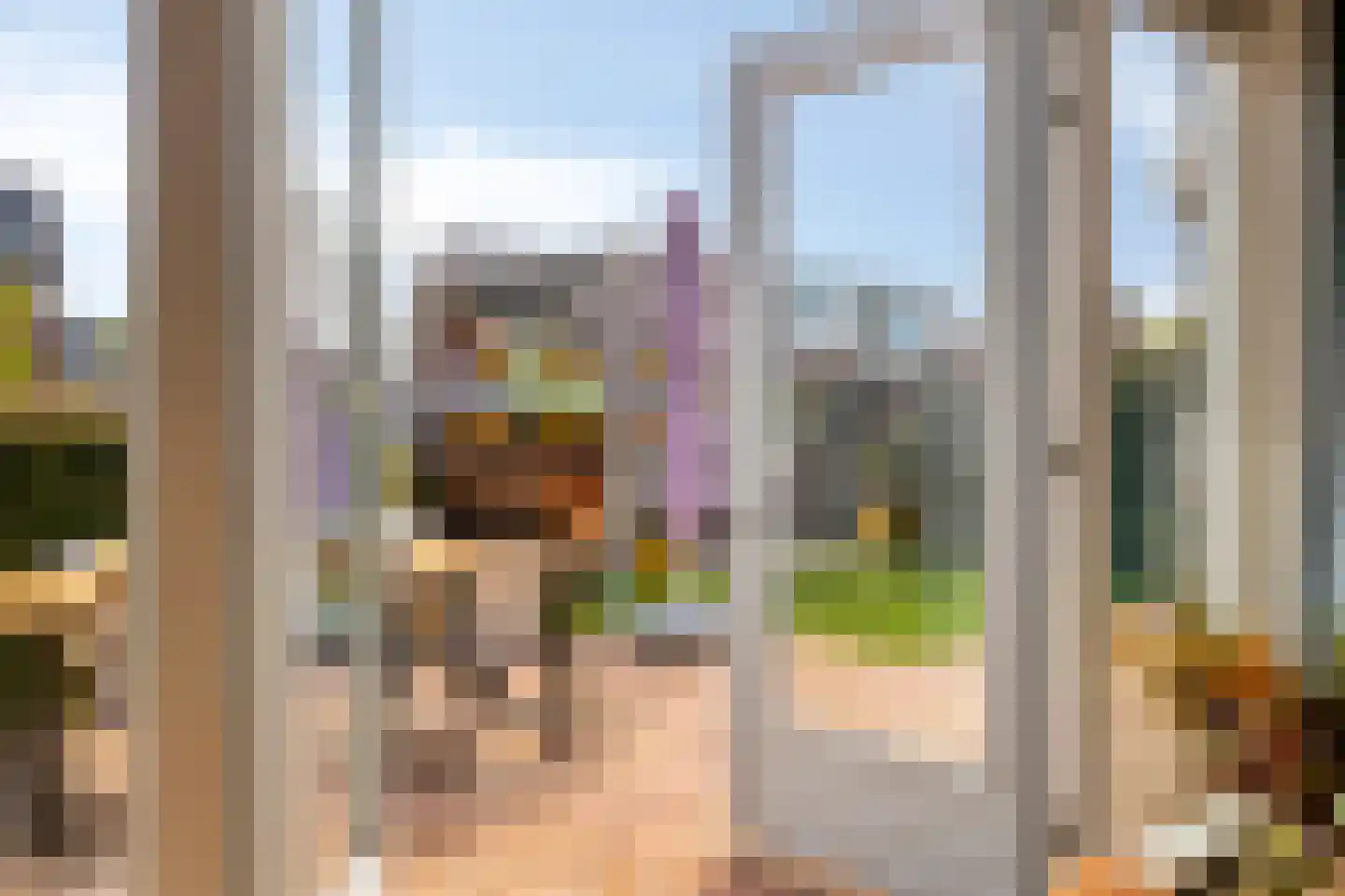 Koevinkje 13 De Goorn thumbnail 12