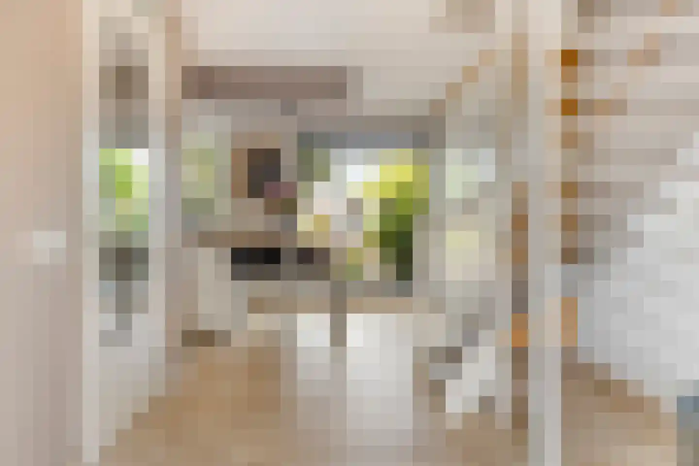 Koevinkje 13 De Goorn thumbnail 13