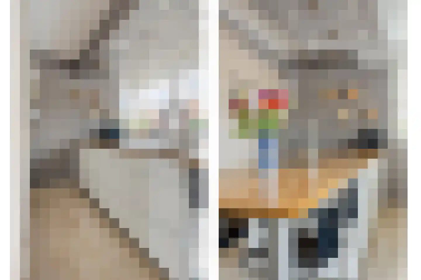 Koevinkje 13 De Goorn thumbnail 17