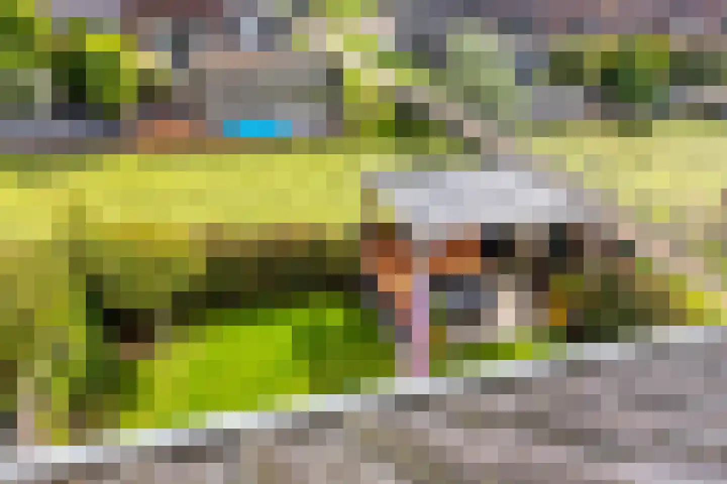 Koevinkje 13 De Goorn thumbnail 34