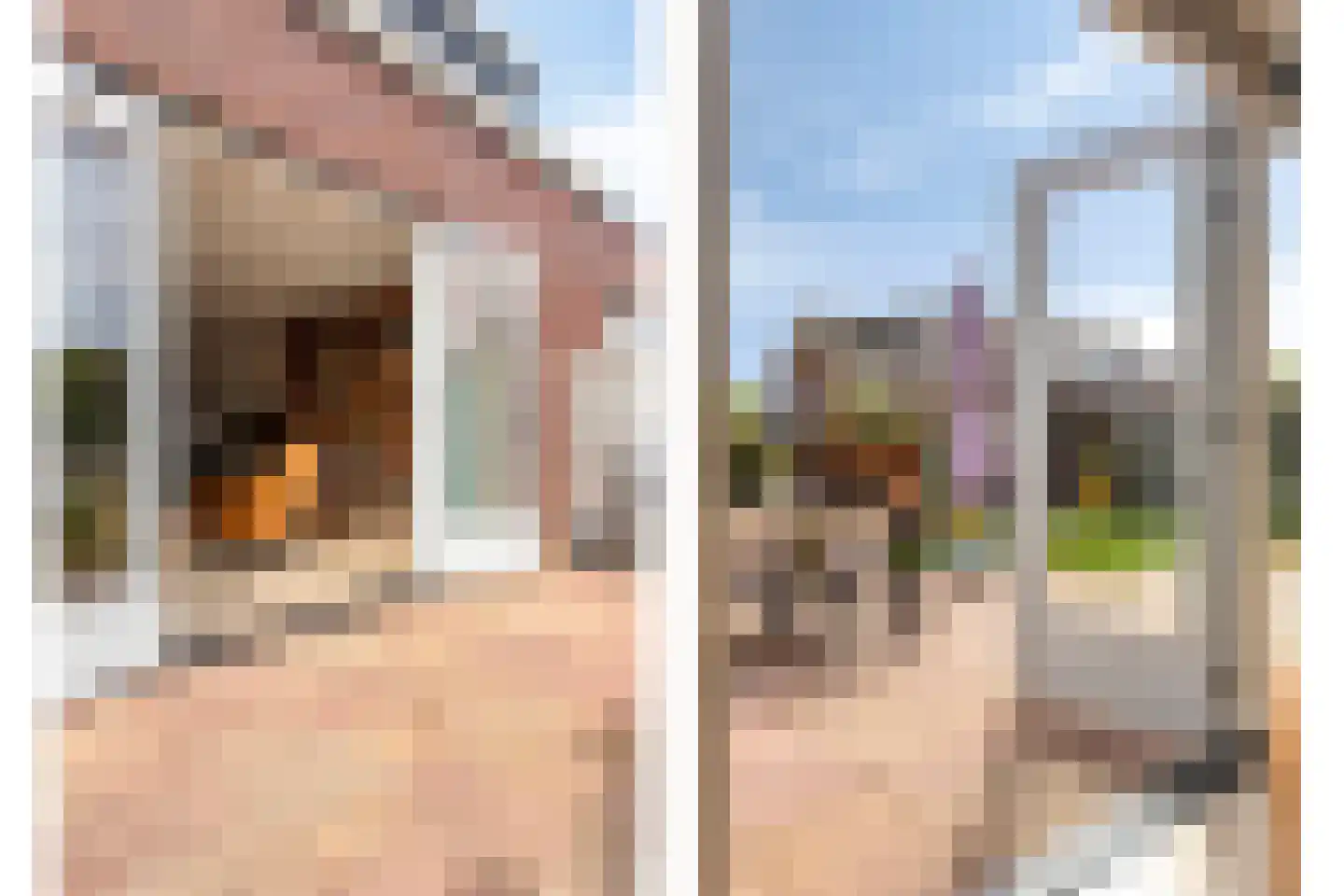 Koevinkje 13 De Goorn thumbnail 35