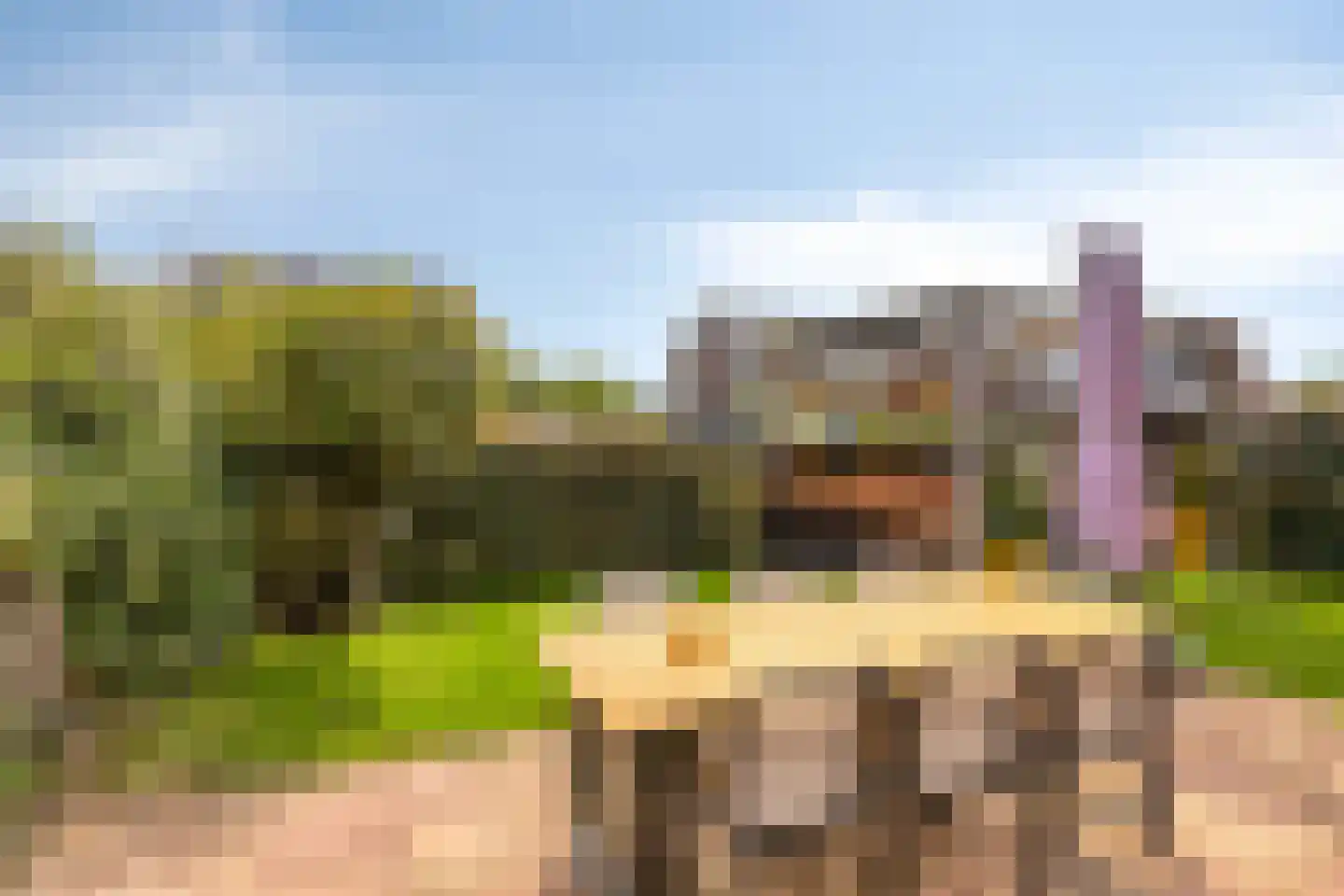 Koevinkje 13 De Goorn thumbnail 37