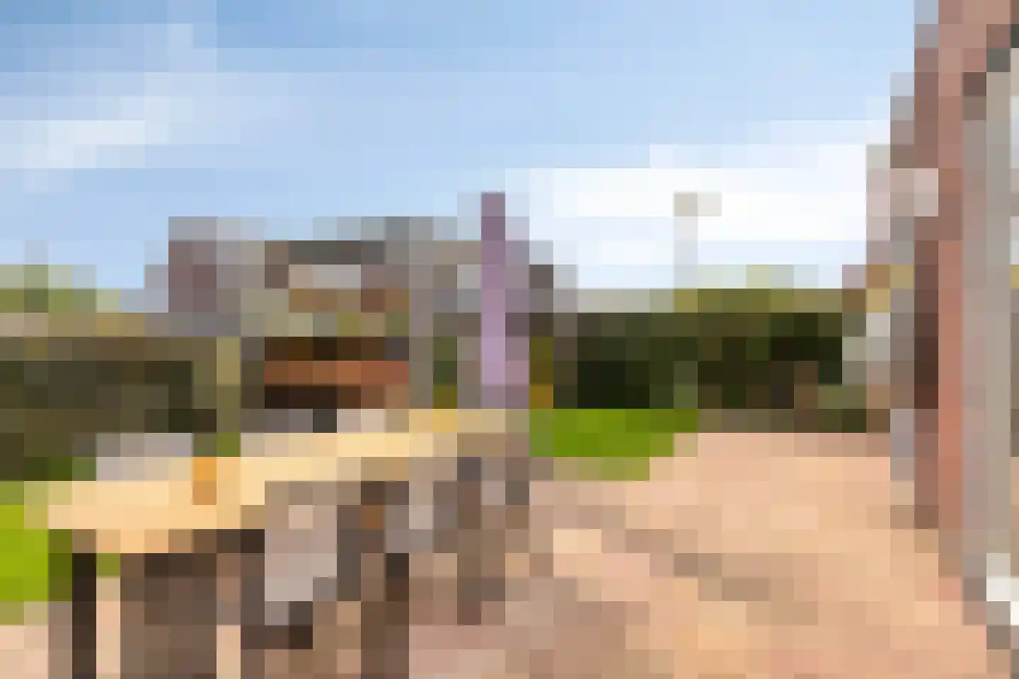 Koevinkje 13 De Goorn thumbnail 38