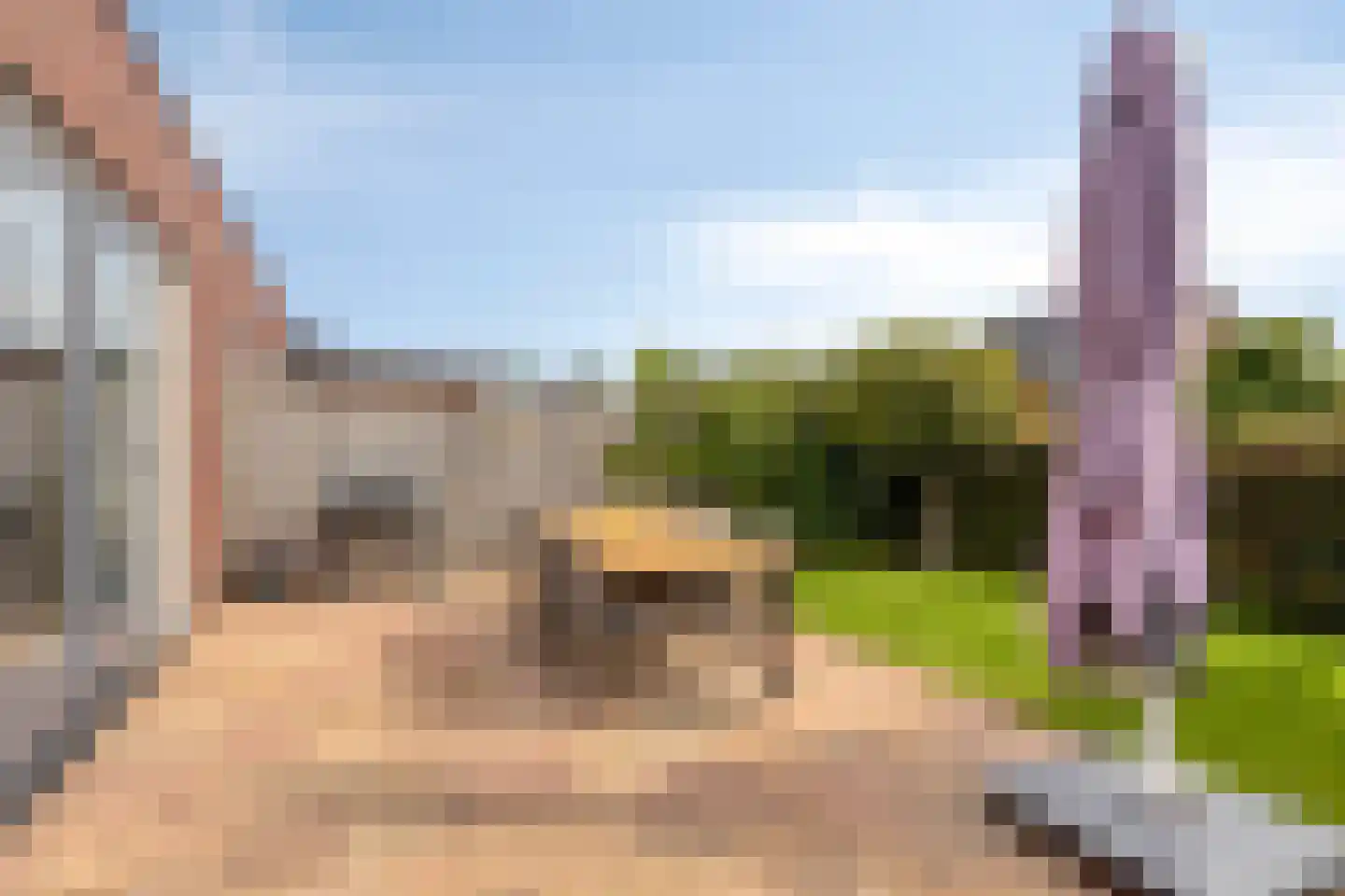 Koevinkje 13 De Goorn thumbnail 39