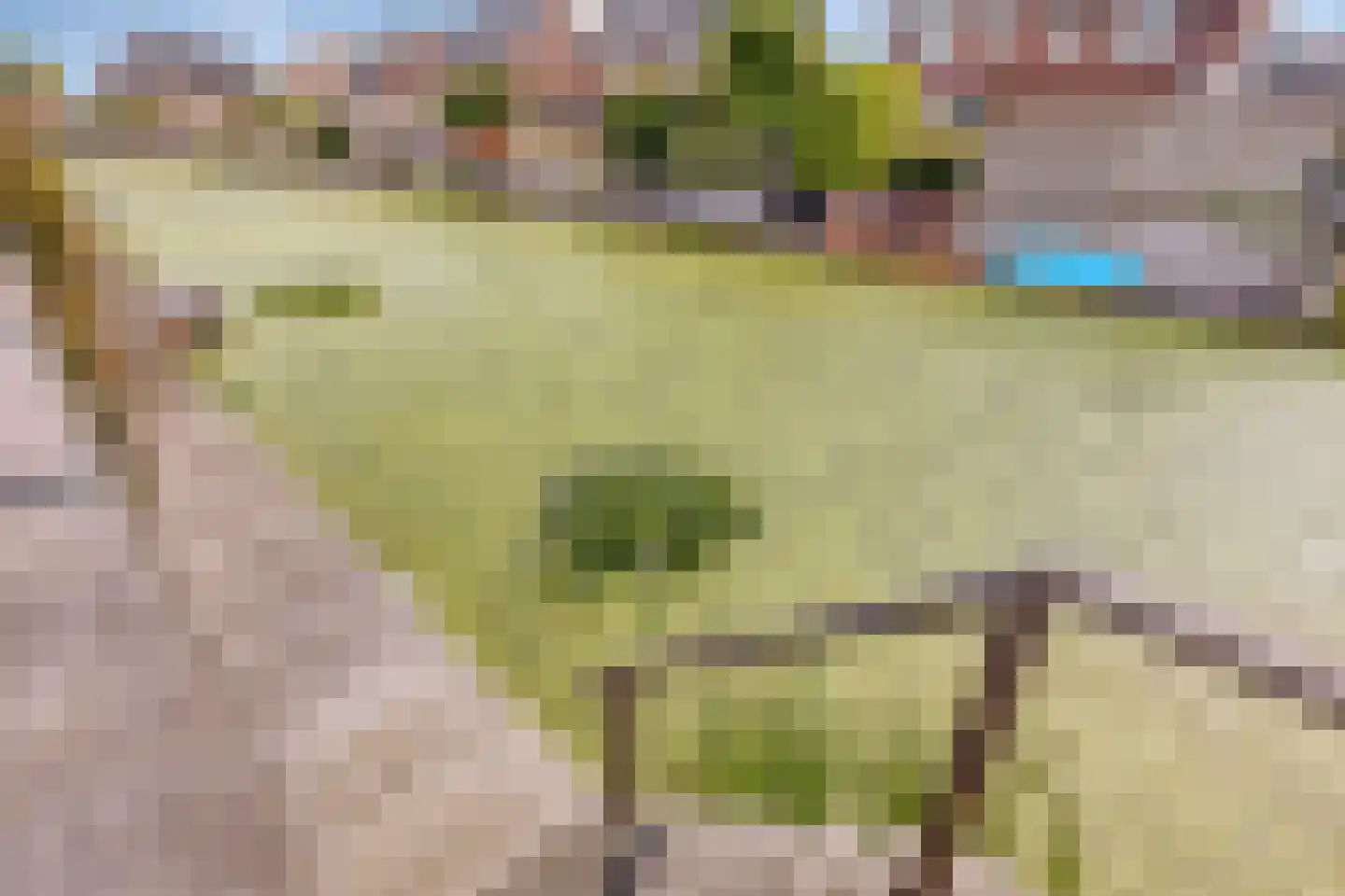 Koevinkje 13 De Goorn thumbnail 44