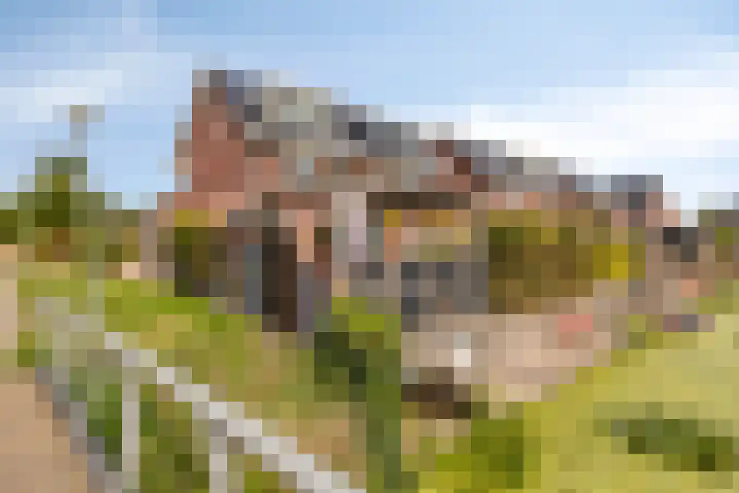Koevinkje 13 De Goorn thumbnail 45
