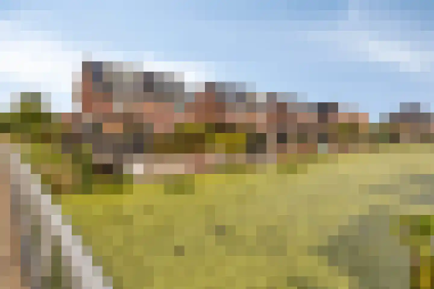 Koevinkje 13 De Goorn thumbnail 46