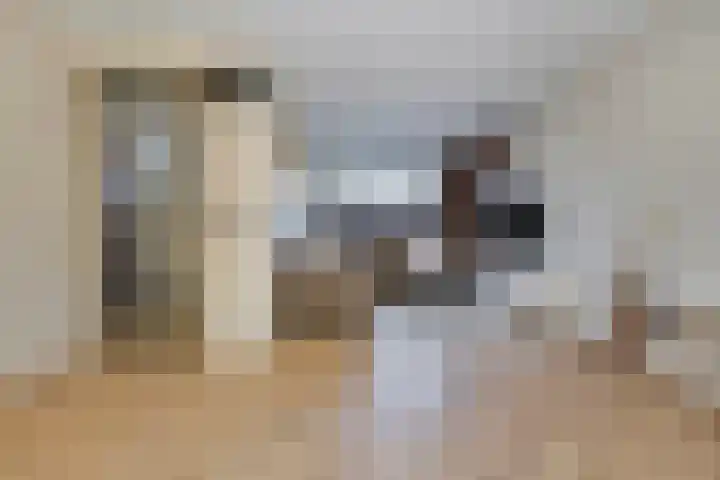 Koevinkje 21 De Goorn thumbnail 12