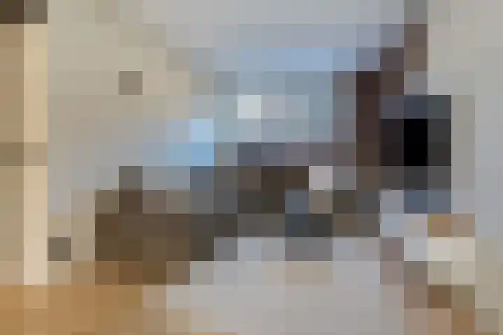 Koevinkje 21 De Goorn thumbnail 13
