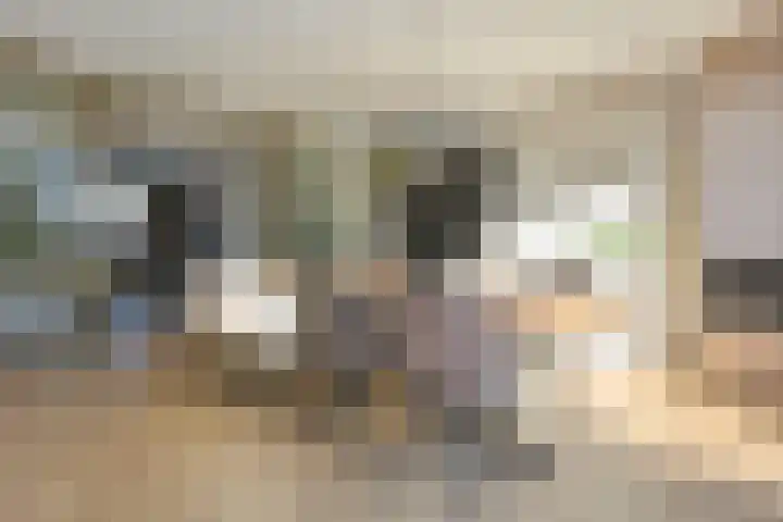 Koevinkje 21 De Goorn thumbnail 15