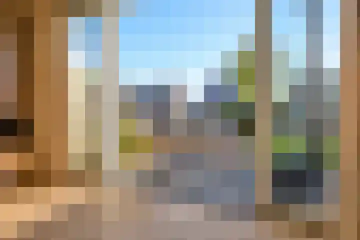 Koevinkje 21 De Goorn thumbnail 19