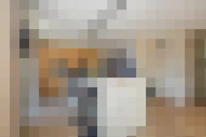 Koevinkje 21 De Goorn thumbnail 21