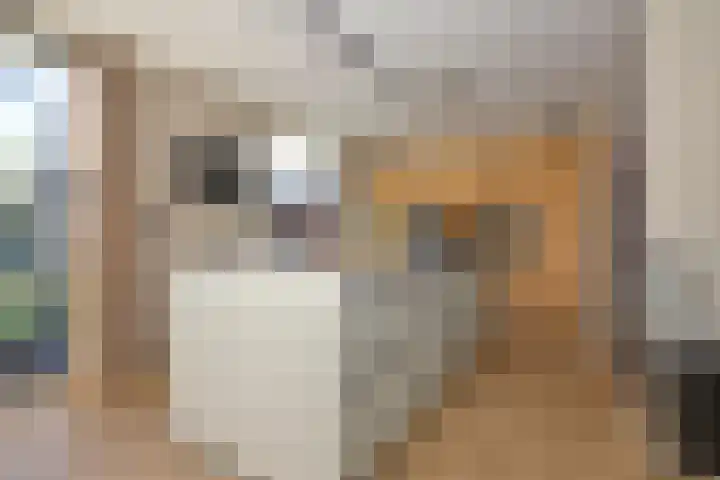 Koevinkje 21 De Goorn thumbnail 22