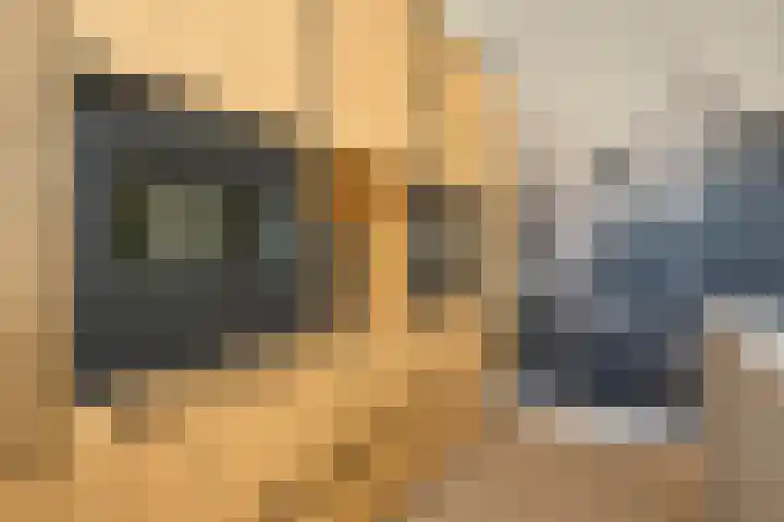 Koevinkje 21 De Goorn thumbnail 24