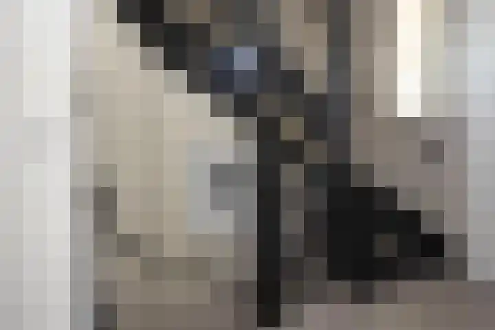 Koevinkje 21 De Goorn thumbnail 25