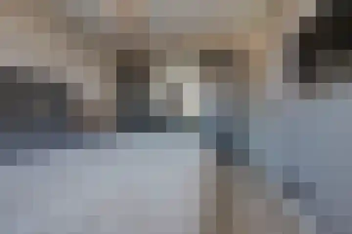 Koevinkje 21 De Goorn thumbnail 27