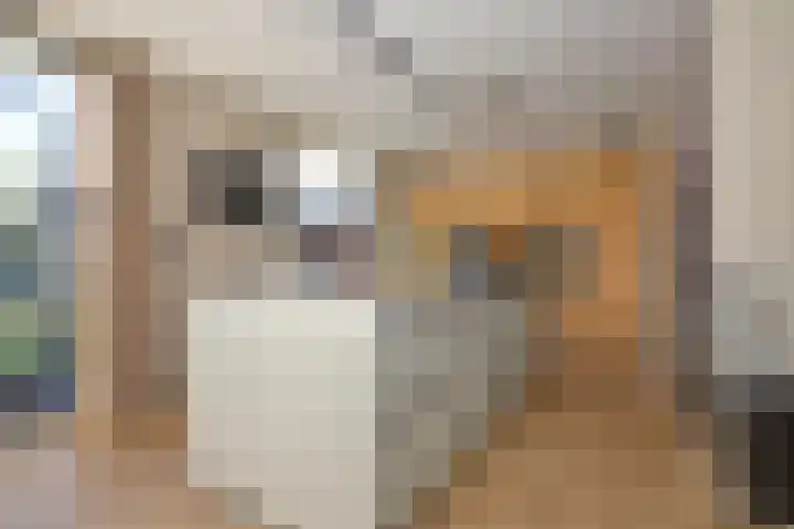 Koevinkje 21 De Goorn foto 3