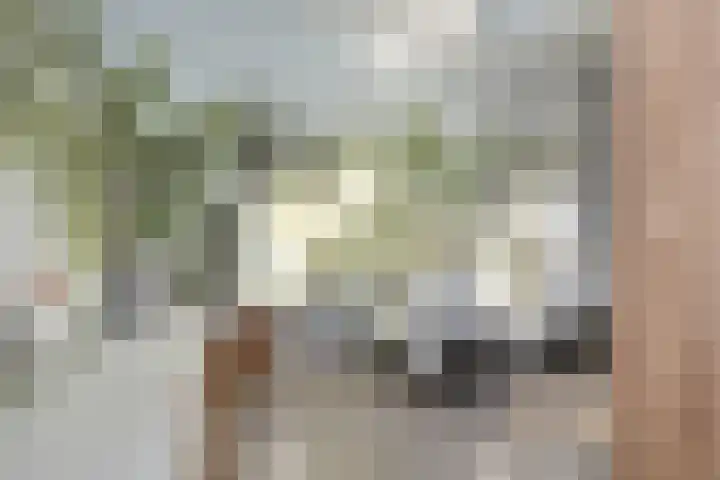 Koevinkje 21 De Goorn thumbnail 33