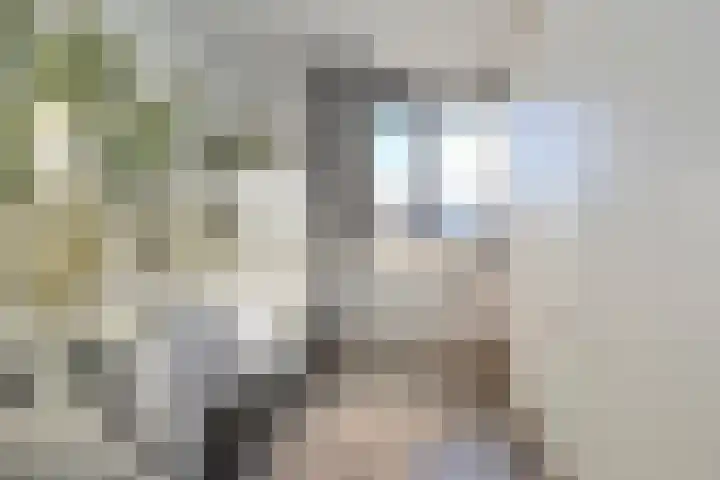 Koevinkje 21 De Goorn thumbnail 34