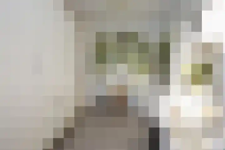 Koevinkje 21 De Goorn thumbnail 35
