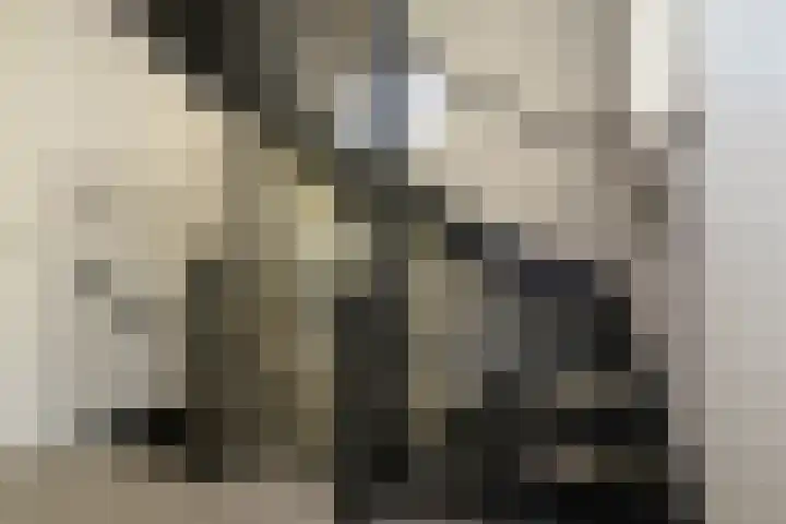 Koevinkje 21 De Goorn thumbnail 38