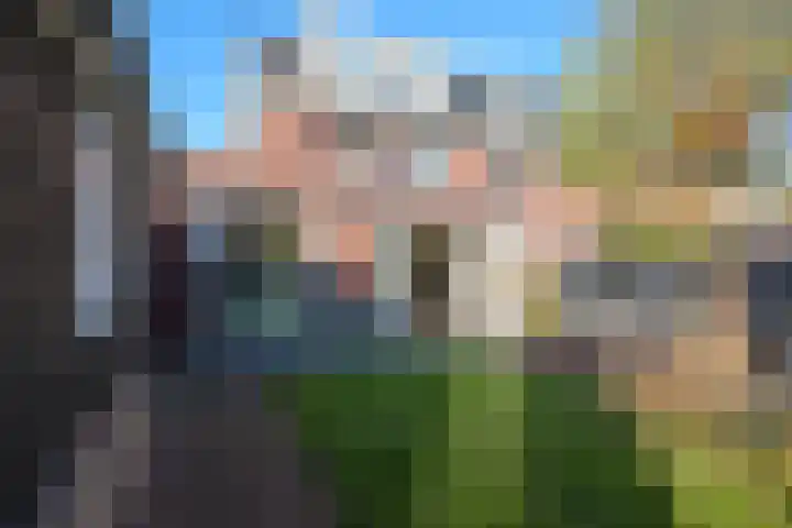 Koevinkje 21 De Goorn thumbnail 4