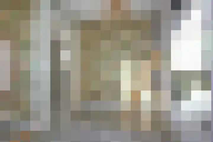 Koevinkje 21 De Goorn thumbnail 41