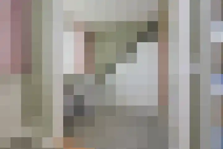 Koevinkje 21 De Goorn thumbnail 43