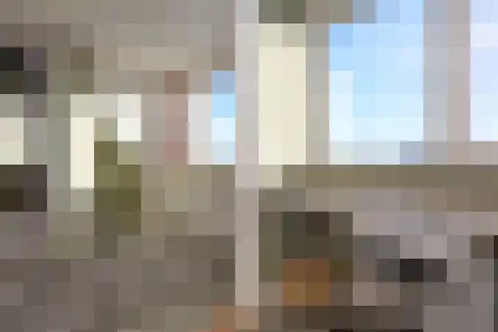 Koevinkje 21 De Goorn thumbnail 44