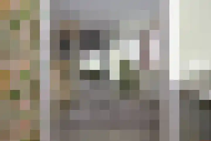 Koevinkje 21 De Goorn thumbnail 45