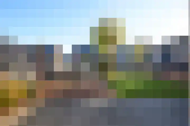 Koevinkje 21 De Goorn thumbnail 49