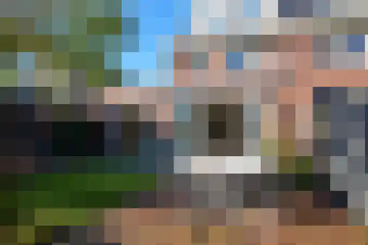 Koevinkje 21 De Goorn thumbnail 50