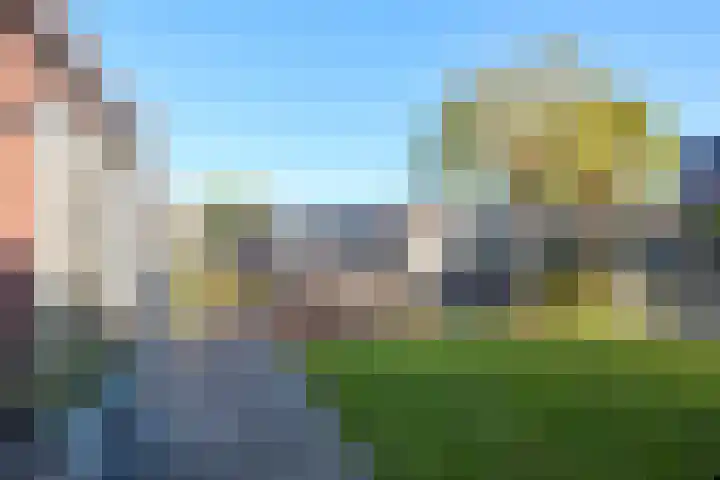 Koevinkje 21 De Goorn thumbnail 52