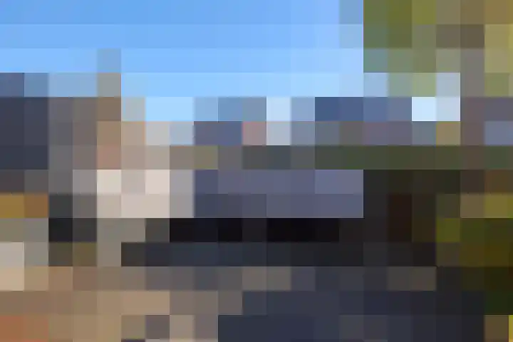 Koevinkje 21 De Goorn thumbnail 53